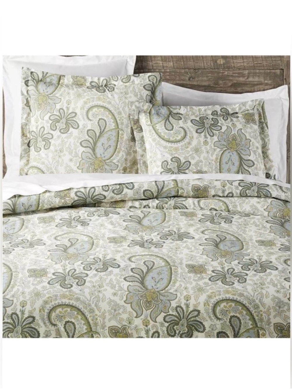 Pottery Barn Charlie Paisley Duvet Cover w Shams Cream, Sage Green, & Light Blue